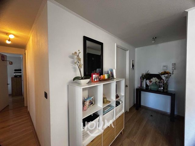 place photo 44