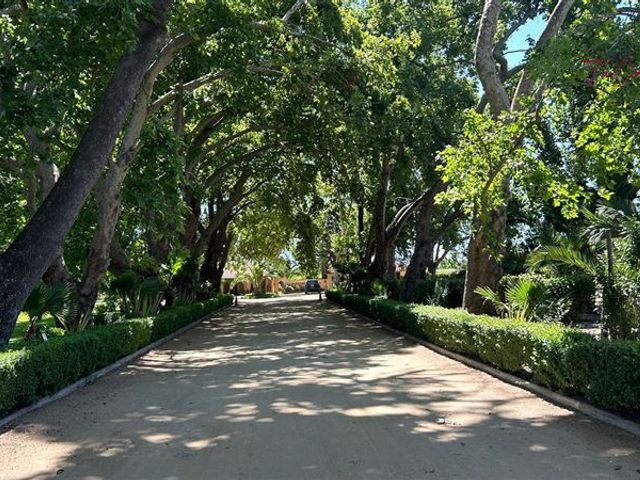 place photo 58