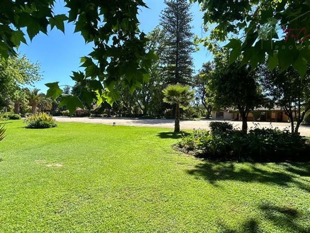 place photo 53