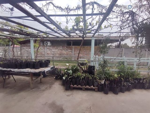 place photo 30