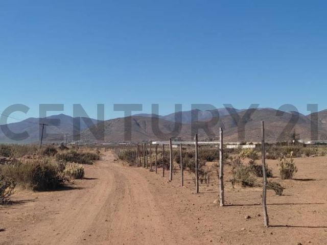 place photo 26