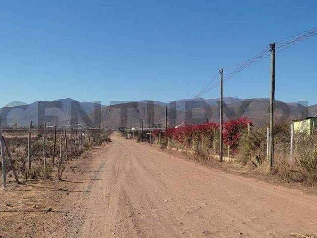 place photo 22
