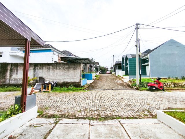 place photo 25