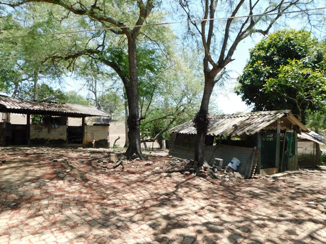 place photo 17