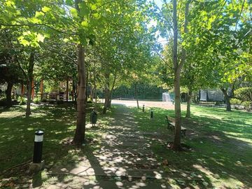 place photo 35