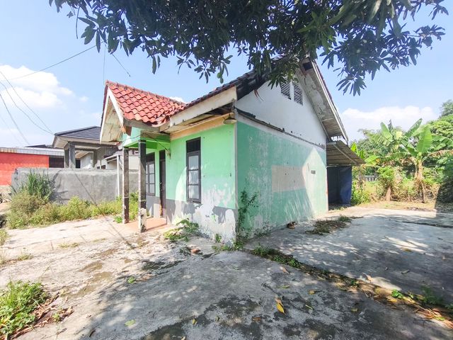 place photo 17