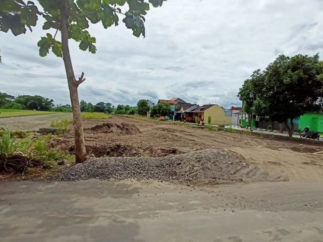 place photo 4
