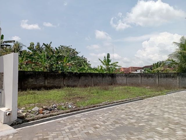 place photo 12