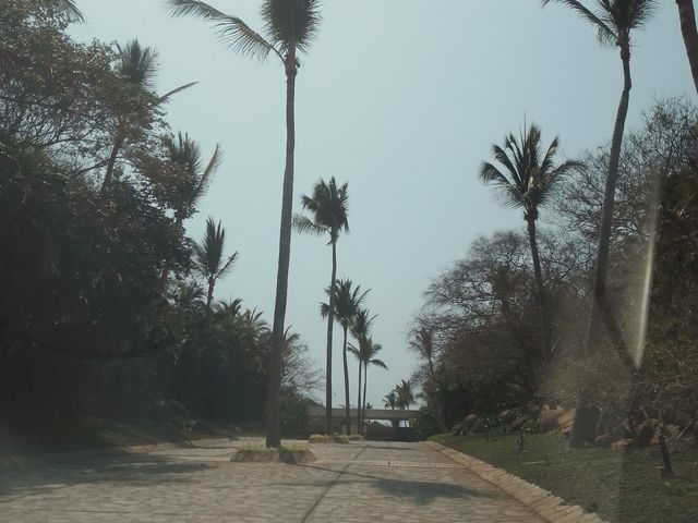 place photo 44