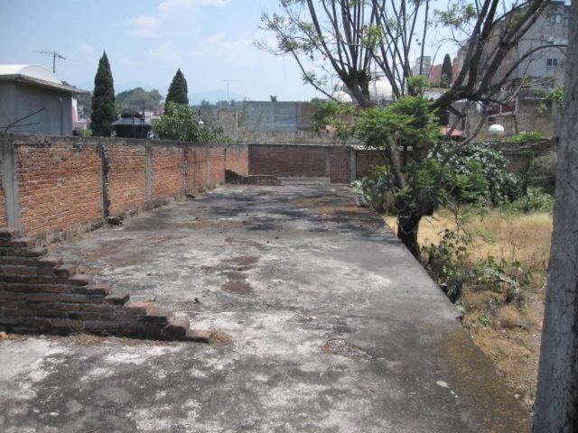 place photo 14