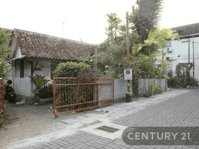 place photo 3