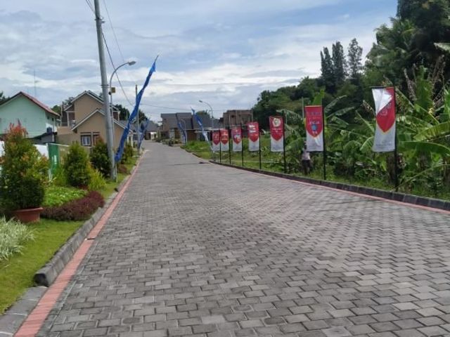 place photo 7