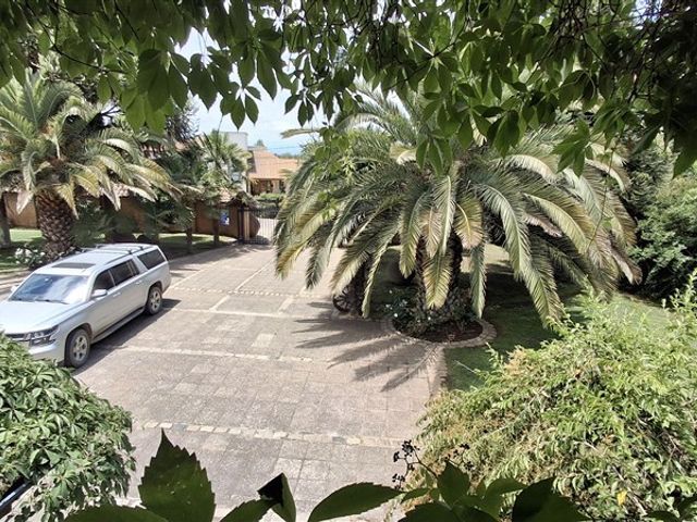 place photo 61