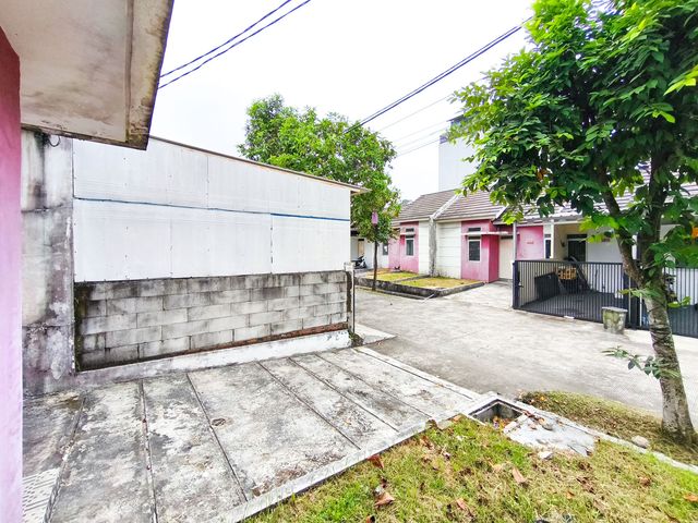 place photo 26