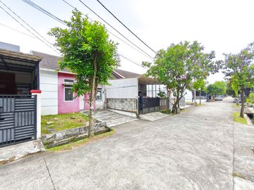 place photo 19