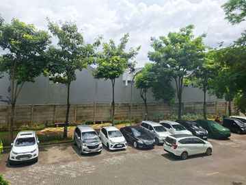 place photo 14