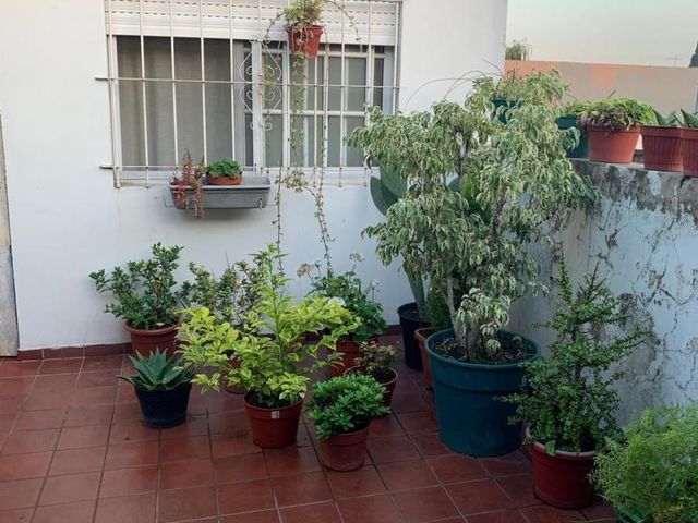 place photo 38