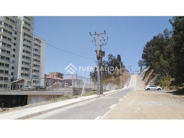 place photo 38