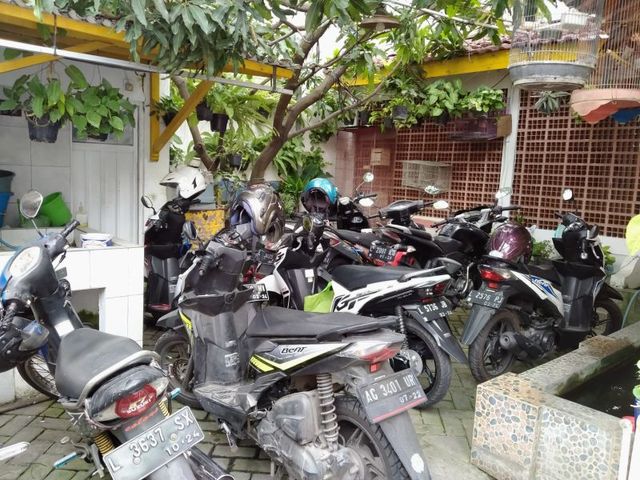 place photo 10