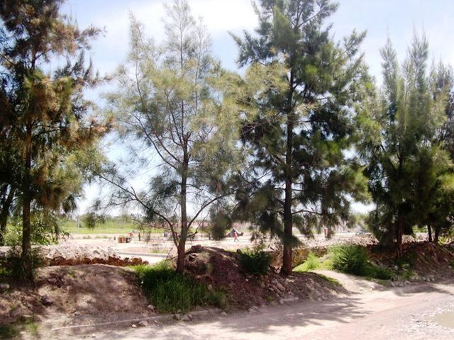 place photo 10