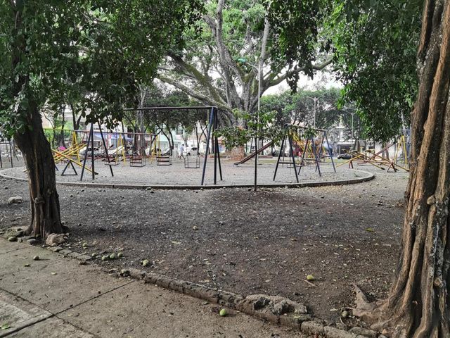 place photo 24