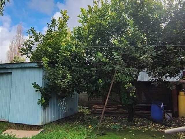 place photo 16
