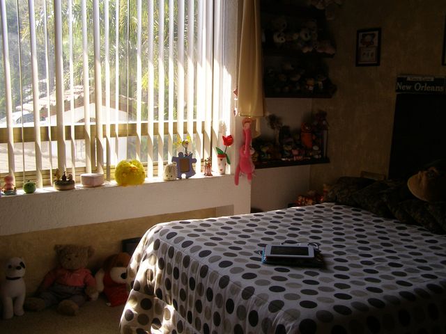 place photo 22