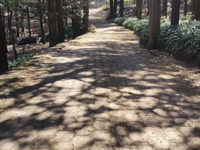 place photo 22