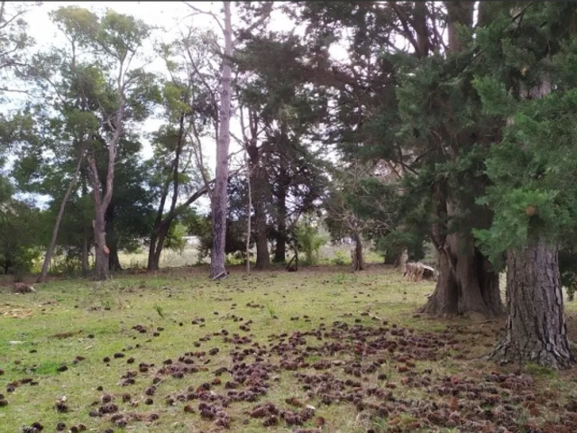 place photo 9