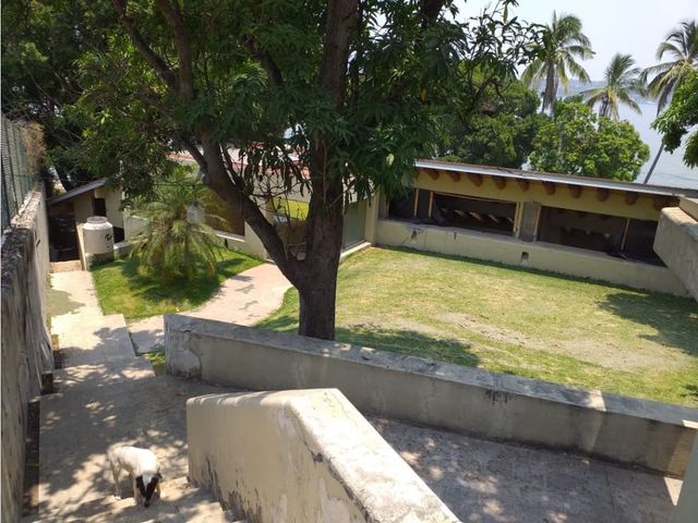 place photo 14