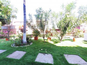 place photo 9