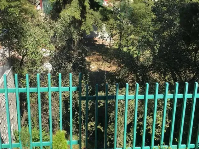 place photo 9