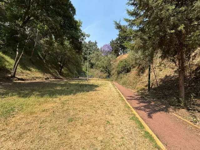 place photo 31