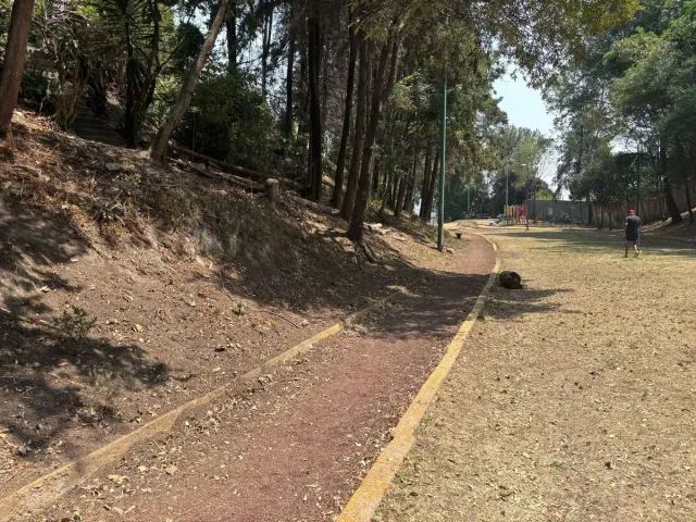 place photo 34