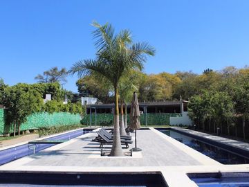 place photo 28