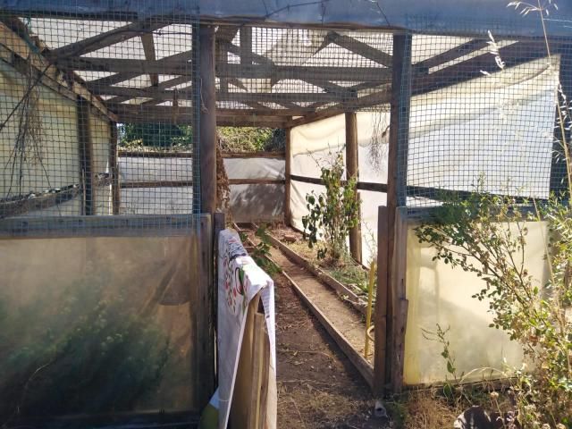 place photo 45