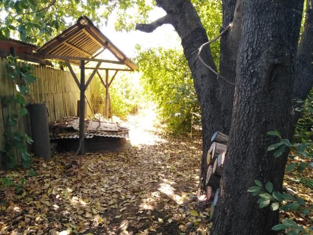 place photo 18