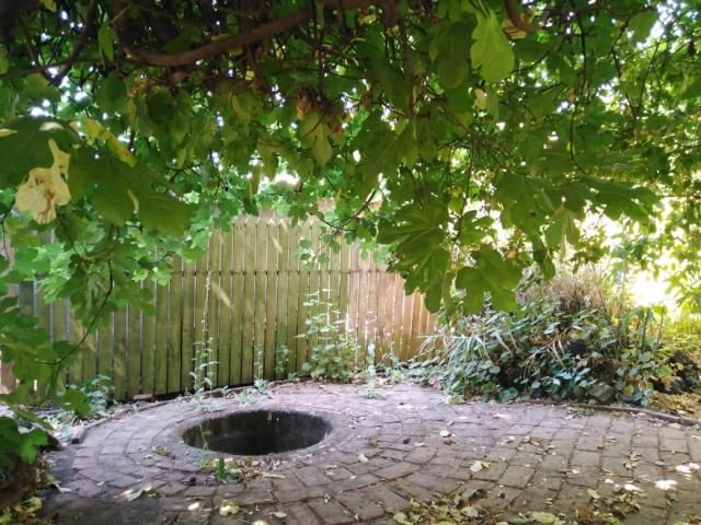 place photo 44