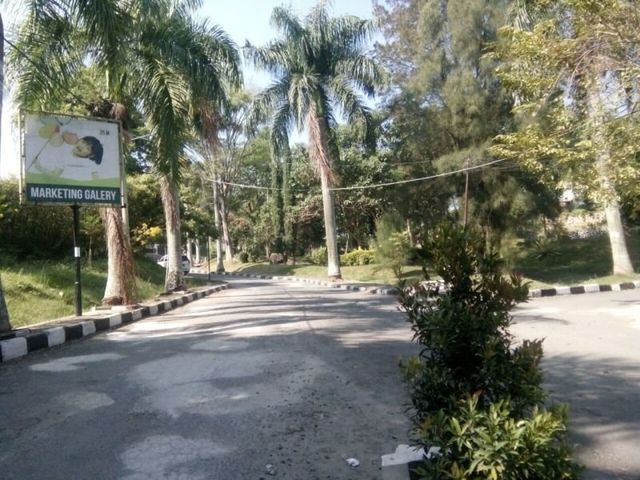 place photo 7