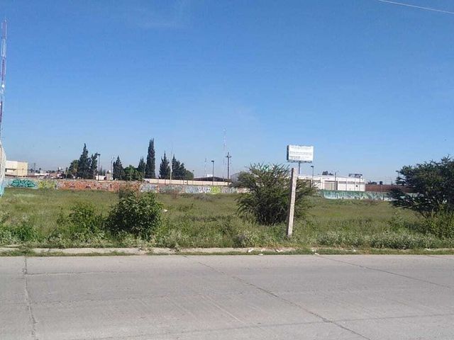 place photo 15