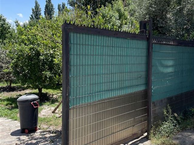 place photo 37