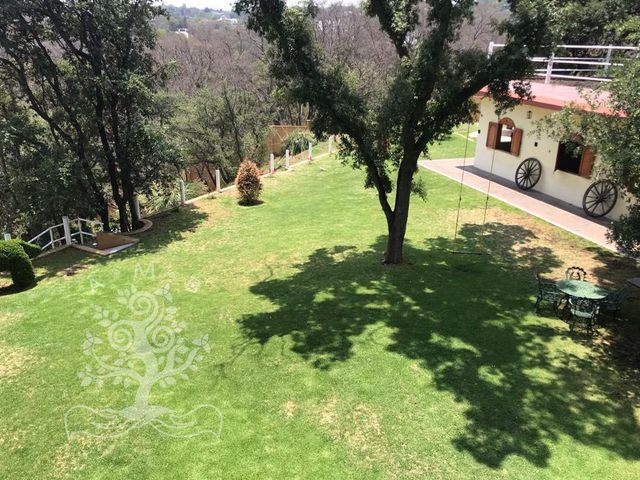place photo 32