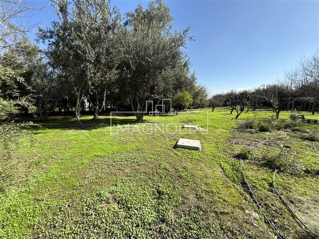 place photo 40
