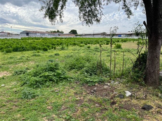 place photo 17