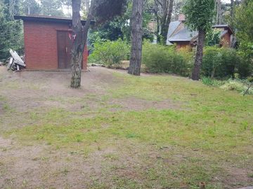 place photo 21