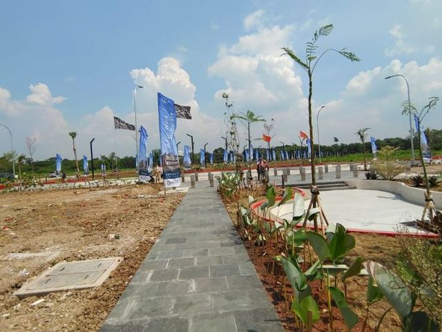 place photo 4