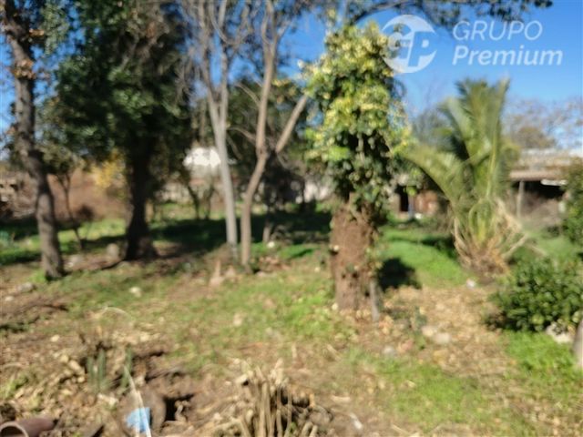 place photo 24