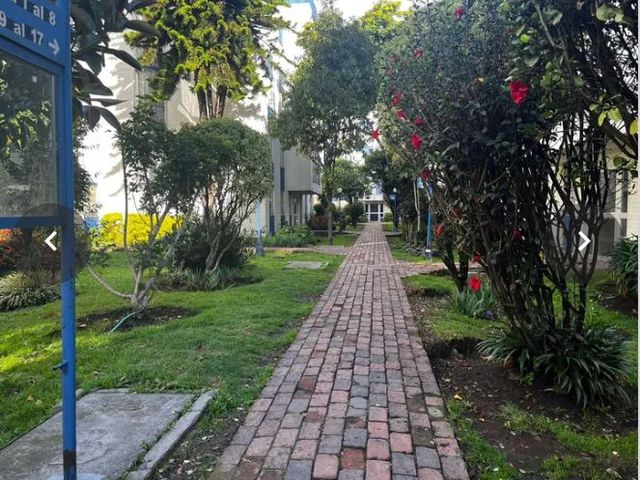 place photo 21
