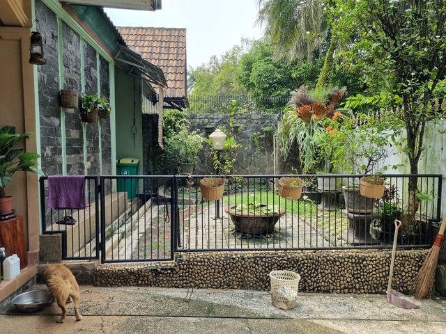 place photo 12