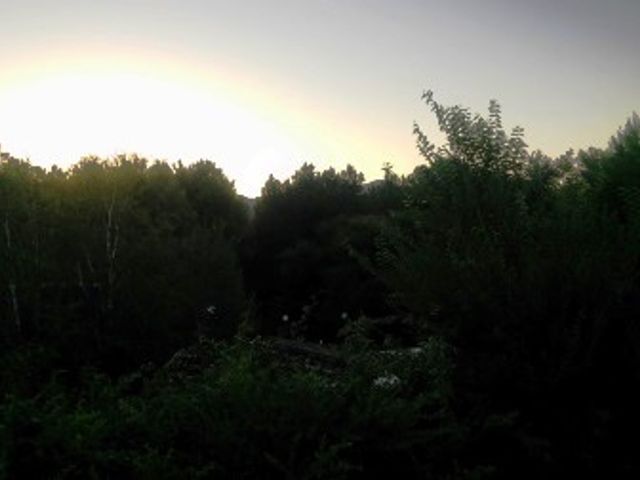 place photo 57